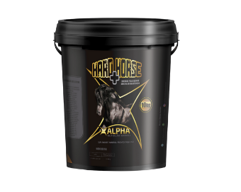 Alpha Nutrição Animal